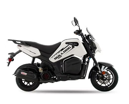 White and black Bulldog mini motorcycle on a white background.