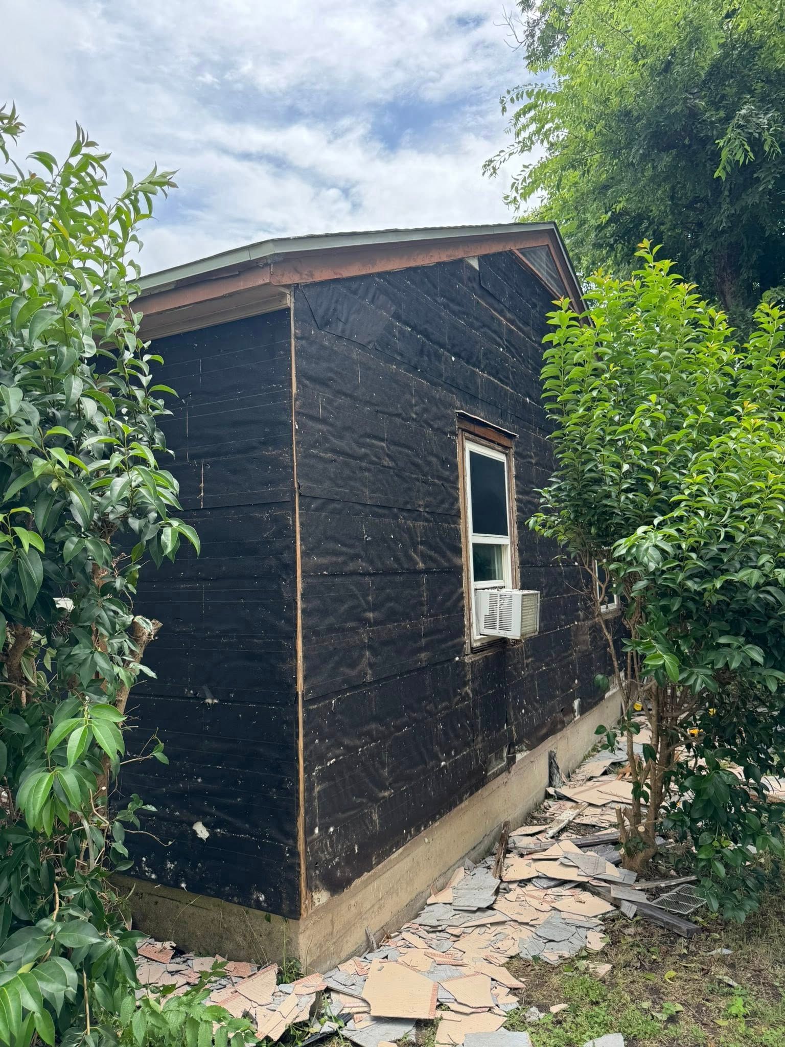 Black-sided building with one window, surrounded by green foliage, under cloudy skies.
