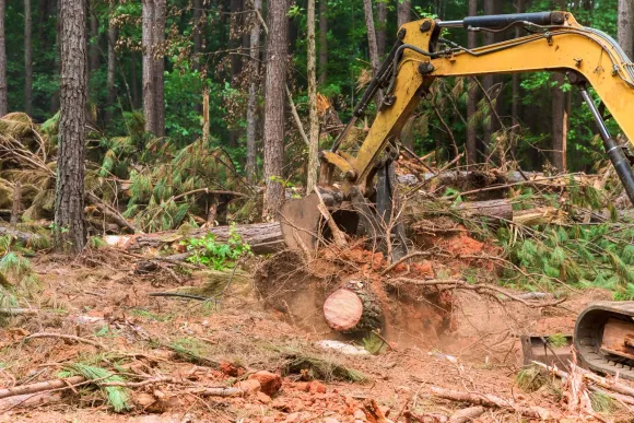 Excavator clearing logs and debris in a forest clearing, with trees in the background