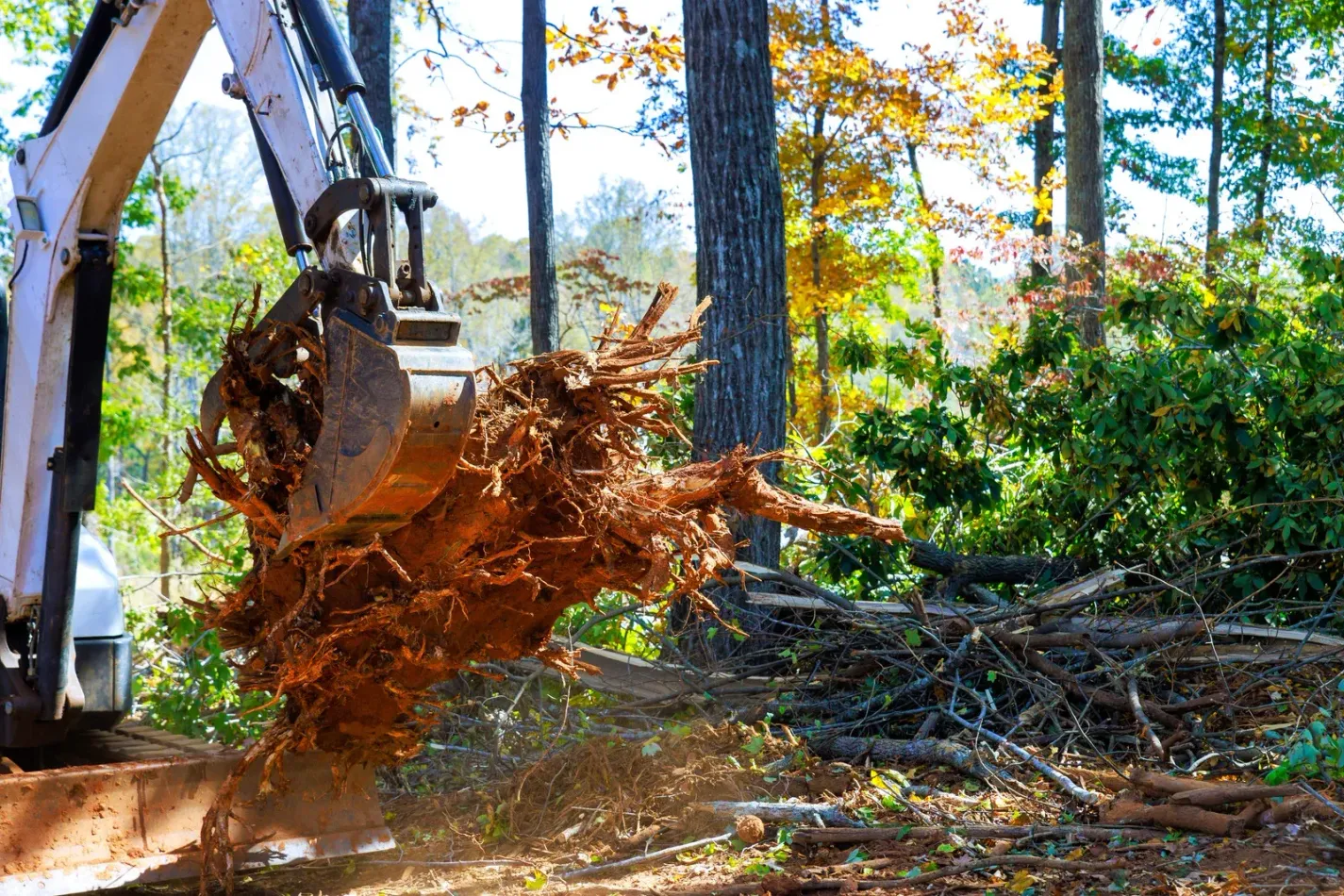 Excavator bucket uprooting a tree stump in a wooded area, with dirt and roots flying.