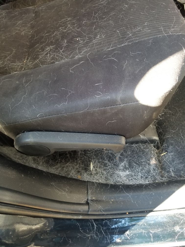 A dirty car seat with a lot of hair on it.