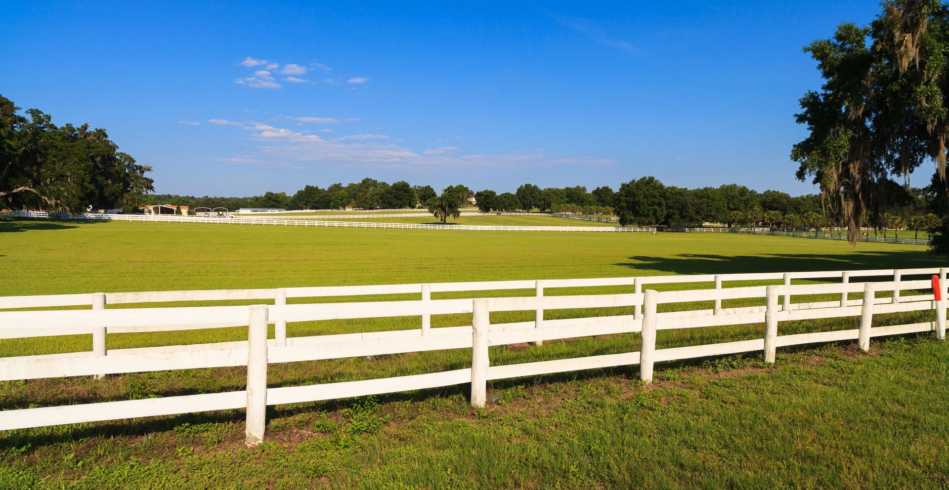 Land Realtor in Port Orange, FL