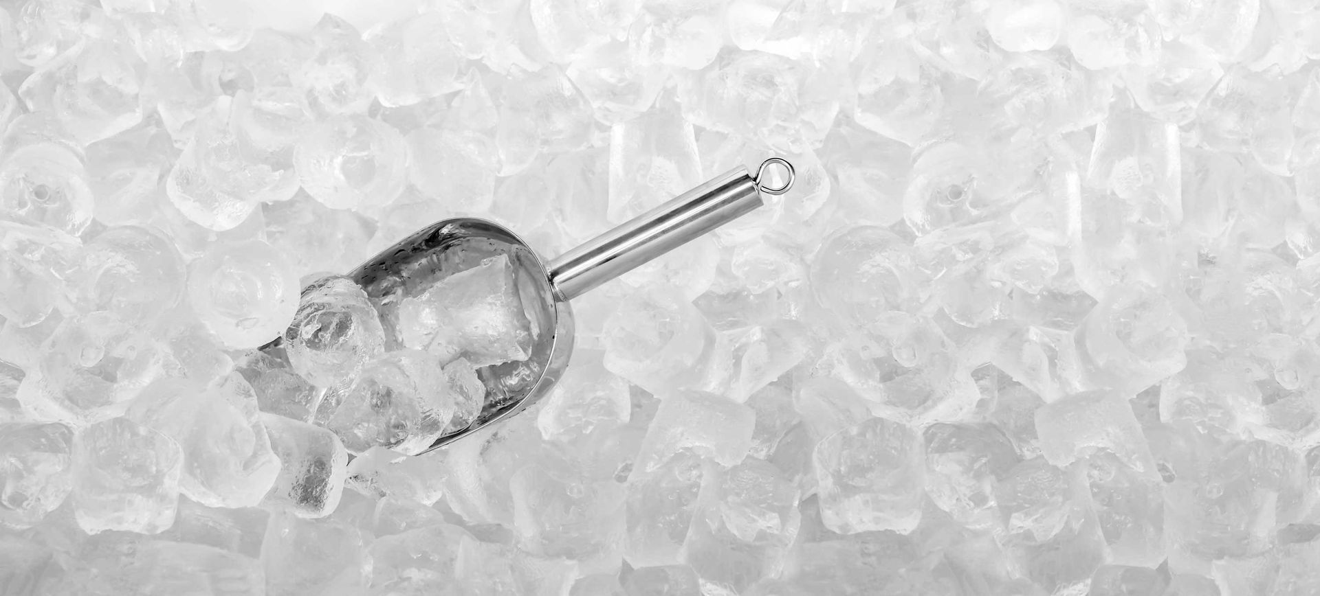 Stainless ice scoop with ice cubes, showcasing fresh ice from a professional ice supplier.