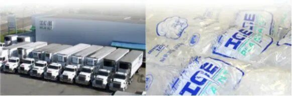 Trucks and ice bags from a wholesale ice supplier near Pensacola, FL