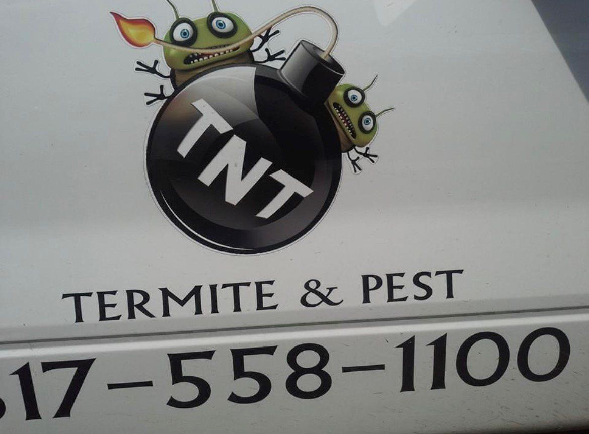 TNT TERMITE & PEST