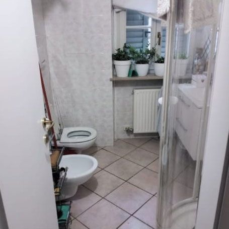 Un piccolo bagno con WC e bidet, pavimento piastrellato, termosifone, una finestra con piante in vaso e box doccia.