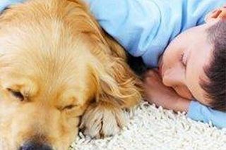 Boy and Dog - Fabric Cleaning Service in Scarborough, ME