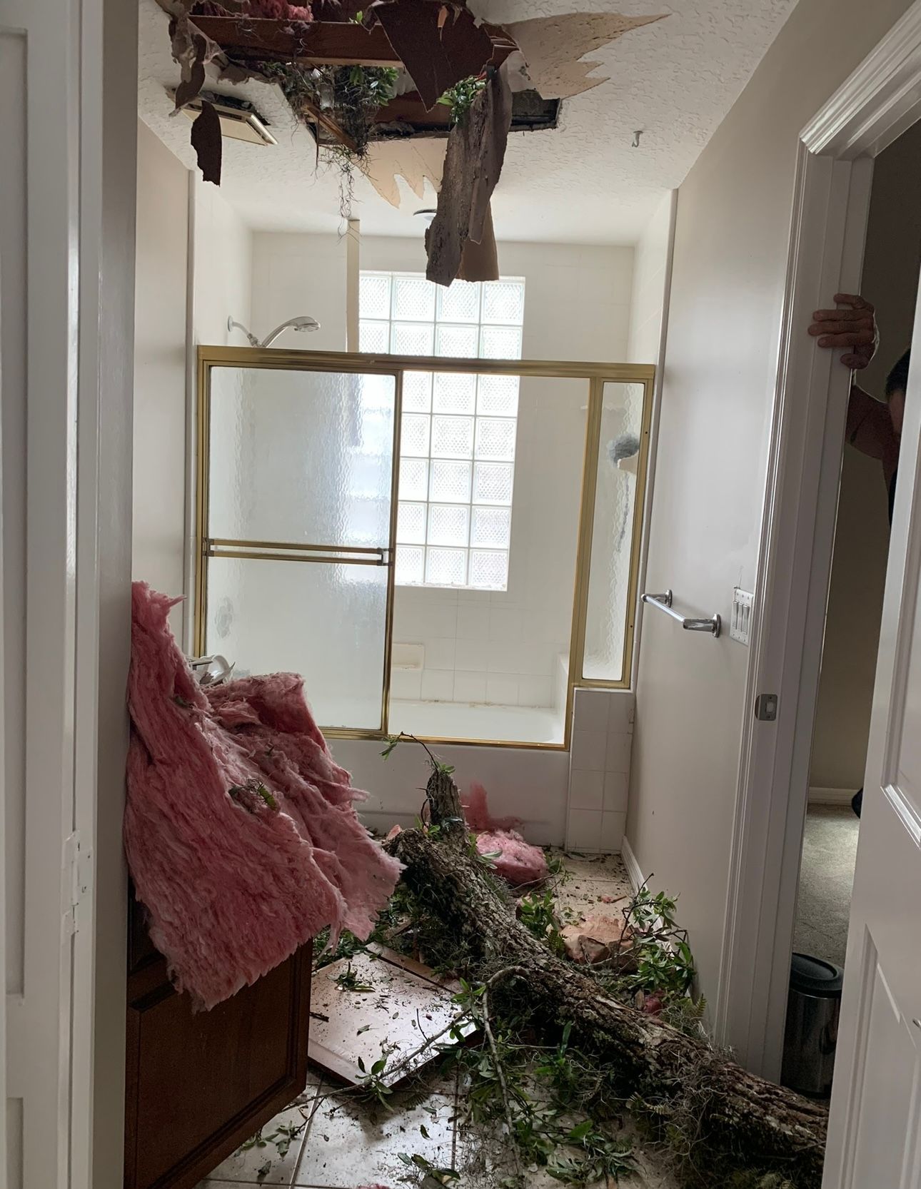 A bathroom with a broken ceiling and a tree branch on the floor.