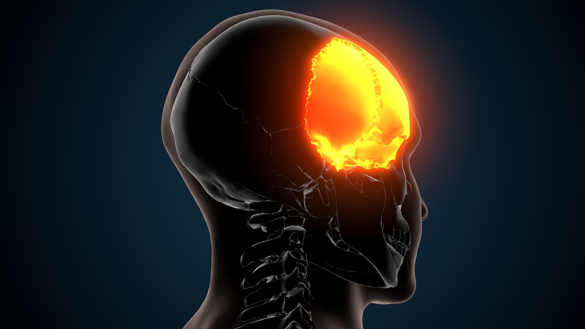 A 3d model of a human head with a glowing skull.