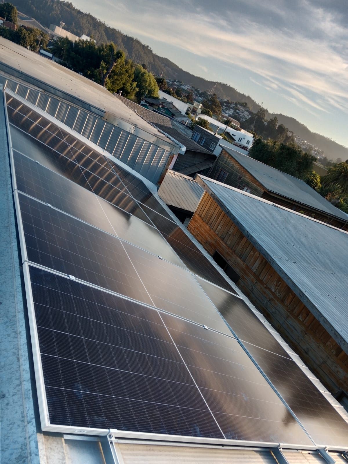 Una fila de paneles solares en el techo de un edificio.