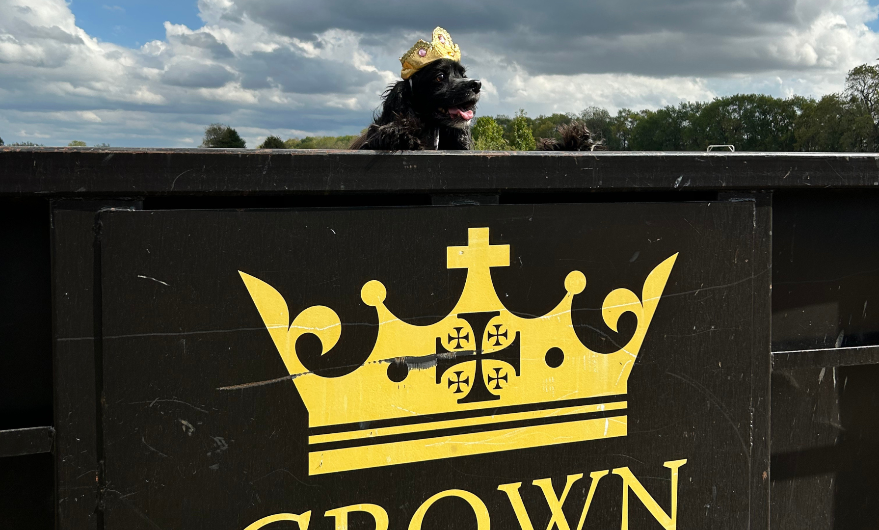 A dog wearing a crown is sitting in front of a sign that says crown