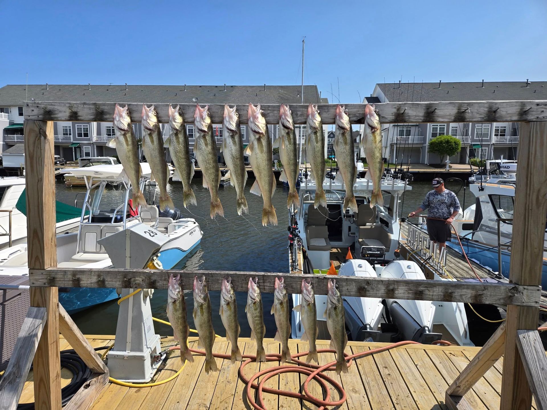 Blue Dolphin Charters