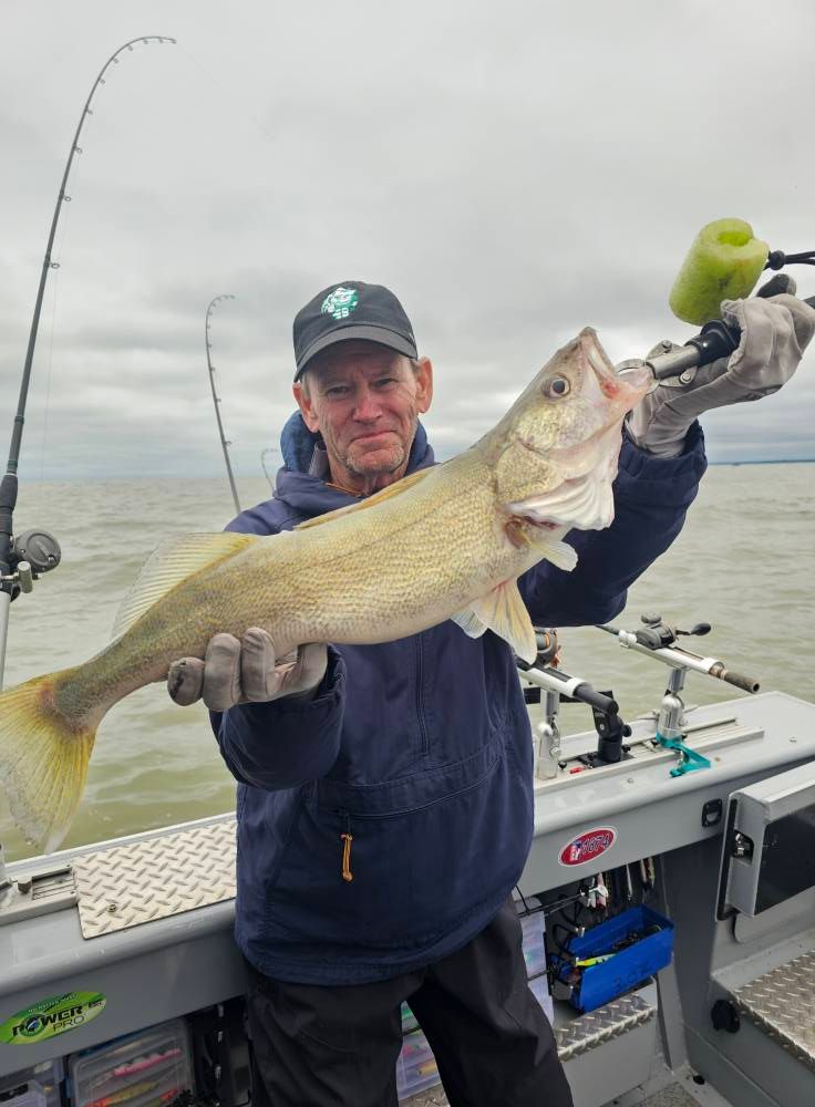 Large walleye catch