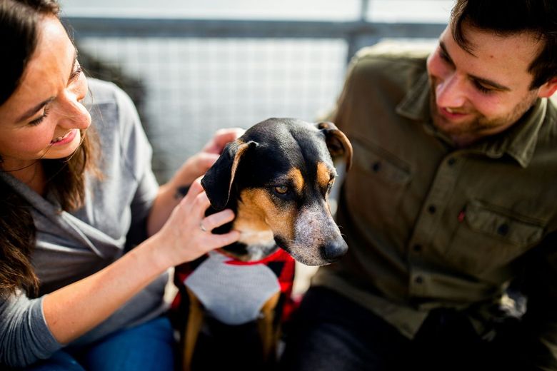 A man and a woman give loving attention to their dog.