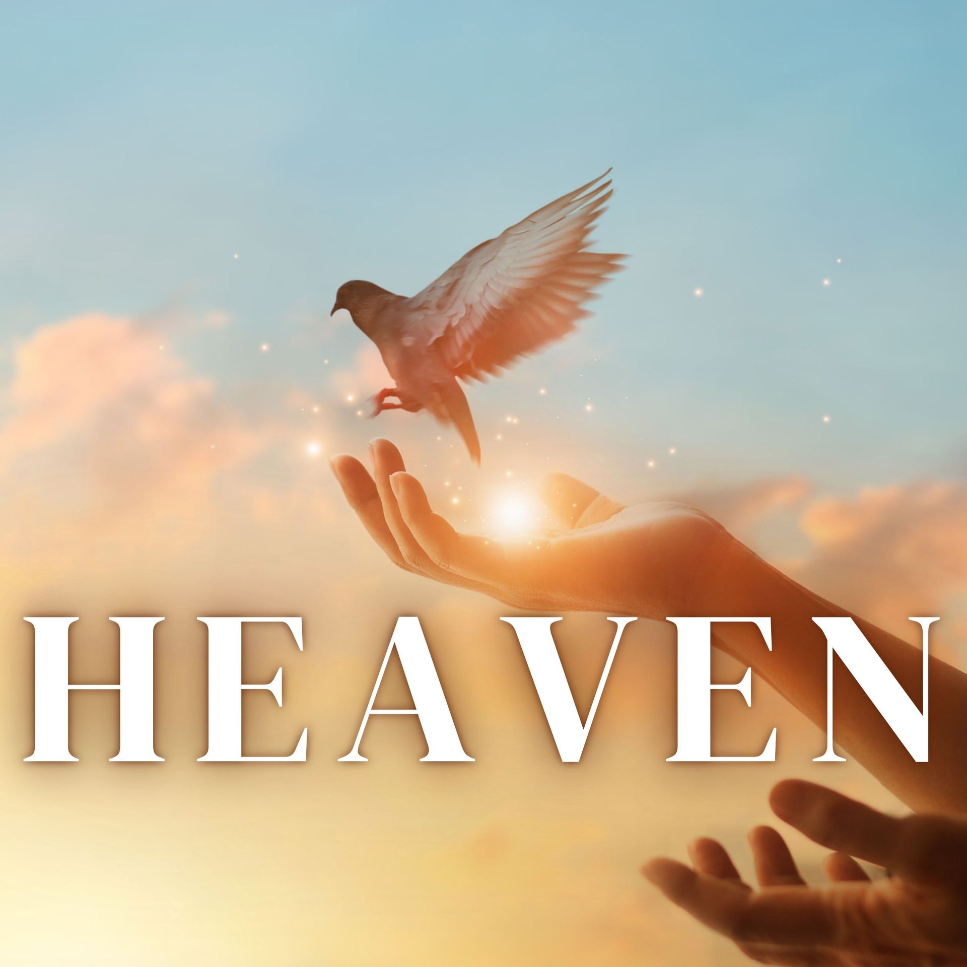 Link to Heaven series