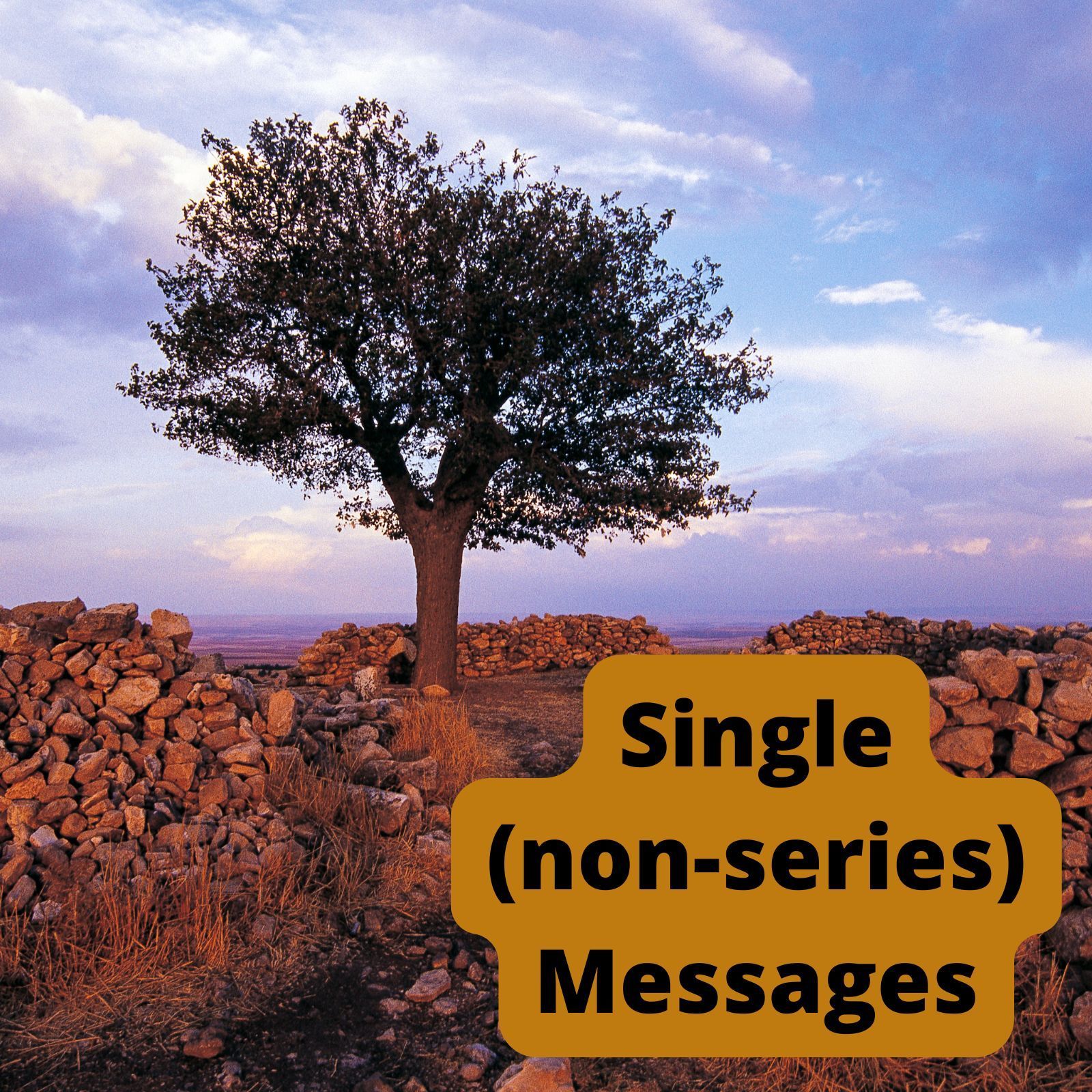 Link to Single, non-series, Messages