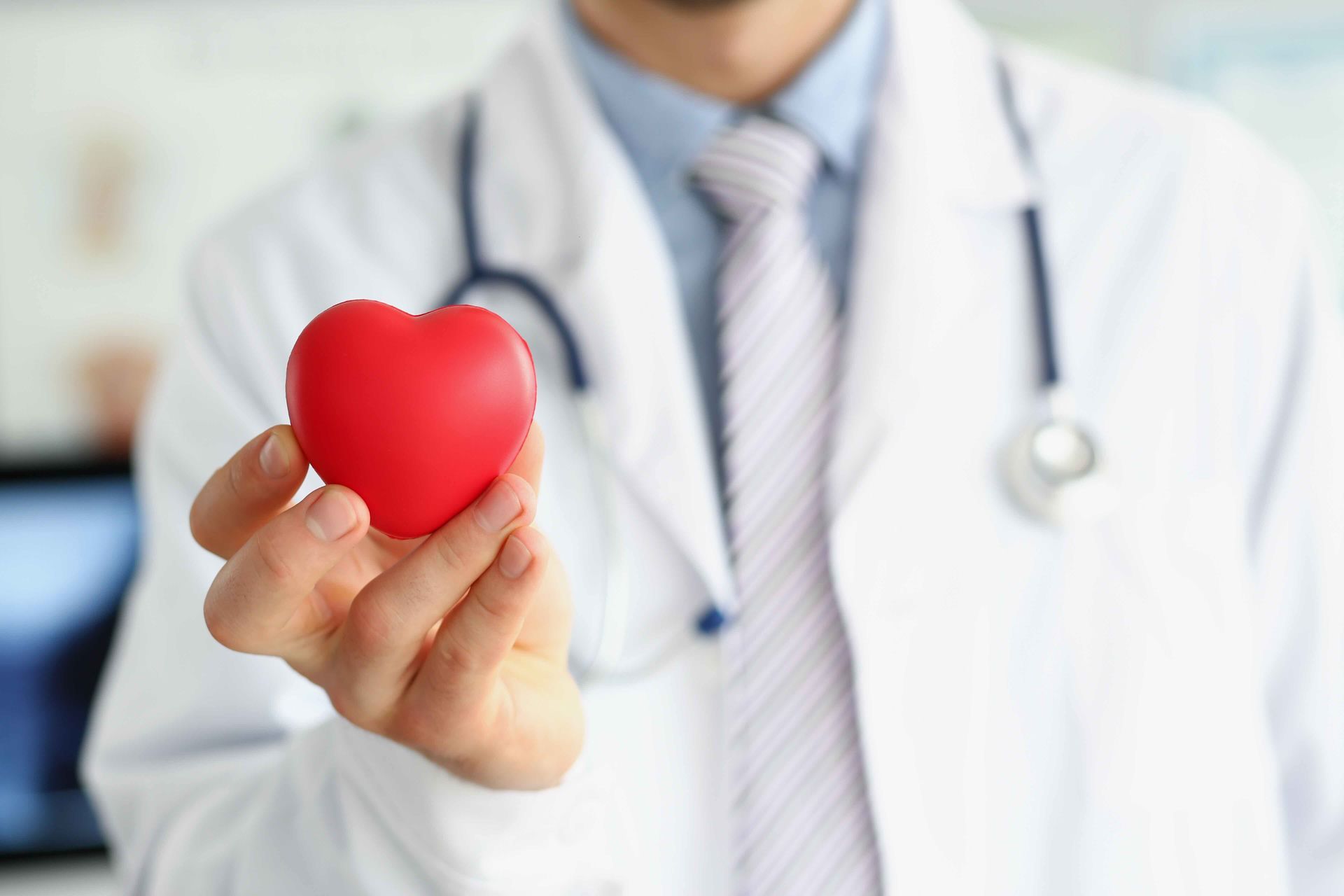 Doctor holding a red heart model toward the camera