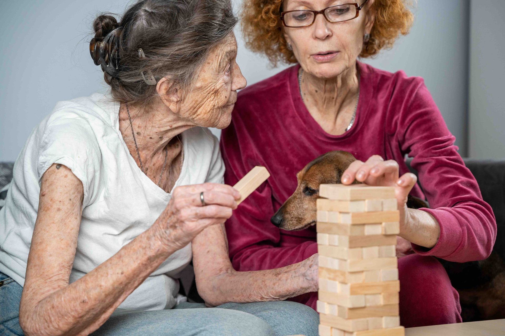 Two elderly women are playing a game of Jenga with a dog.