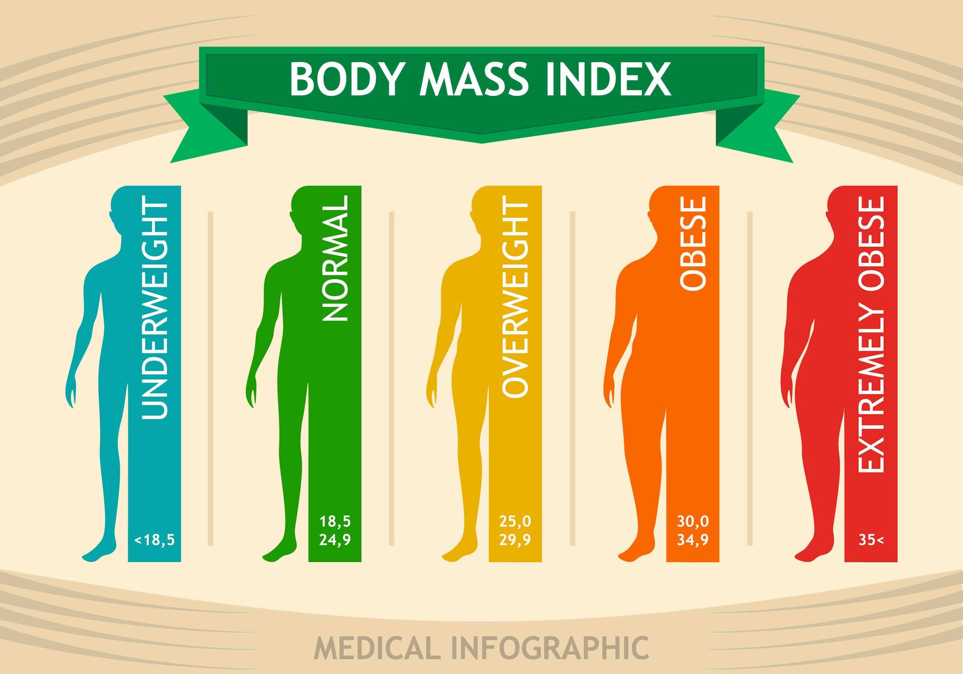 A medical infographic showing the body mass index of a person.