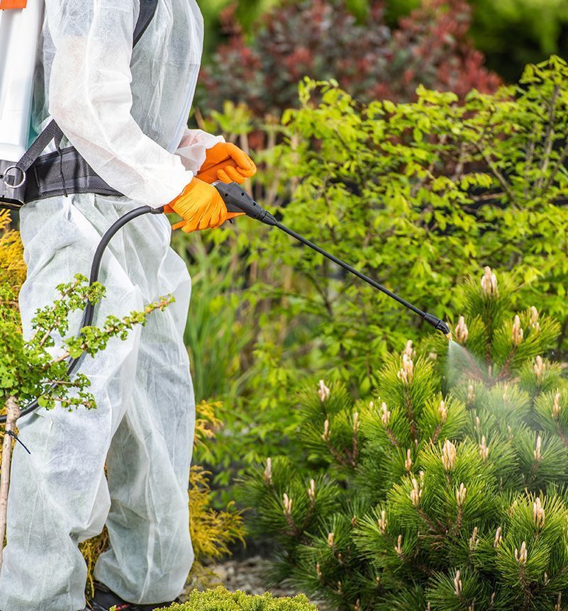 A man in a protective suit is spraying plants with a sprayer.