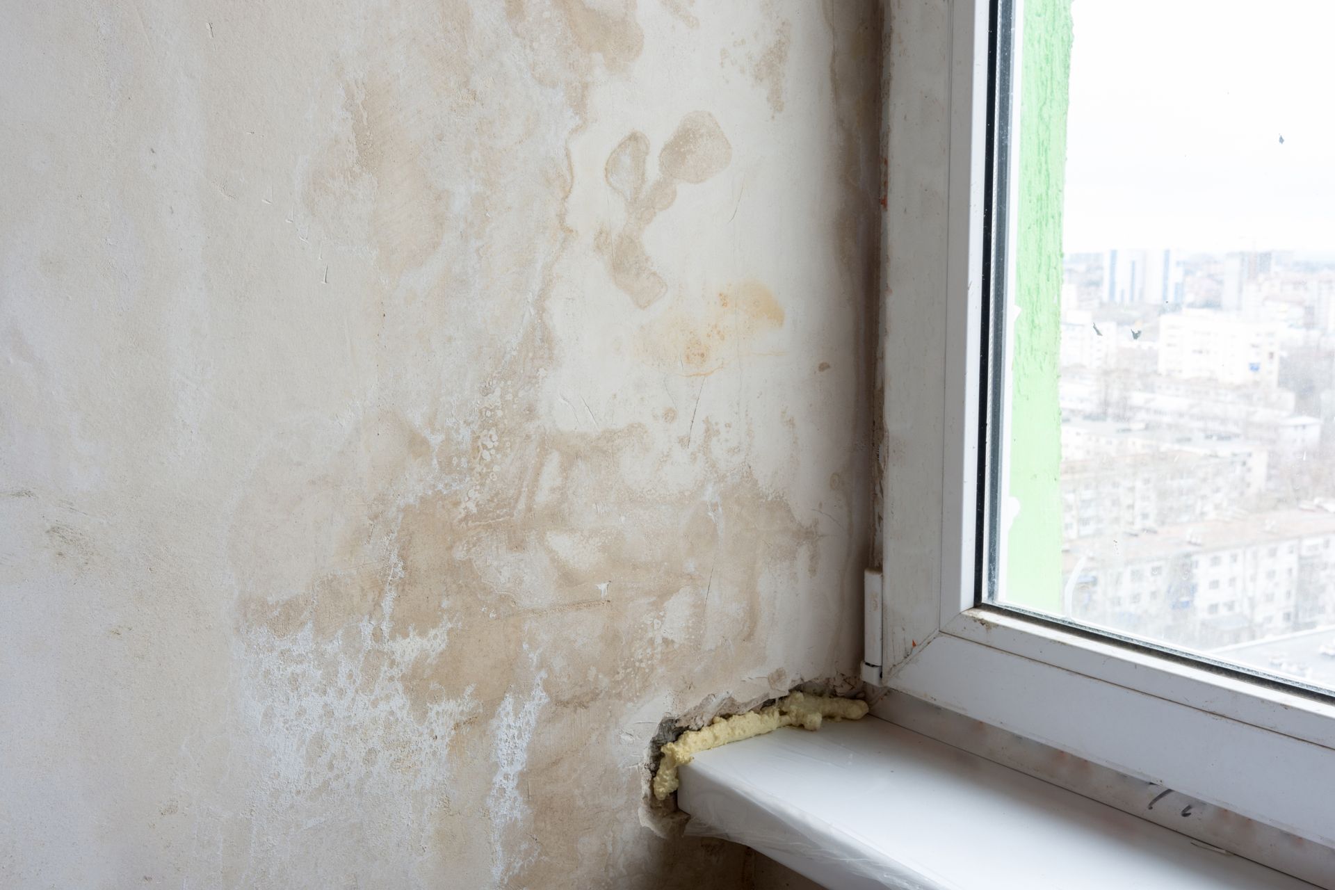 penetrating damp