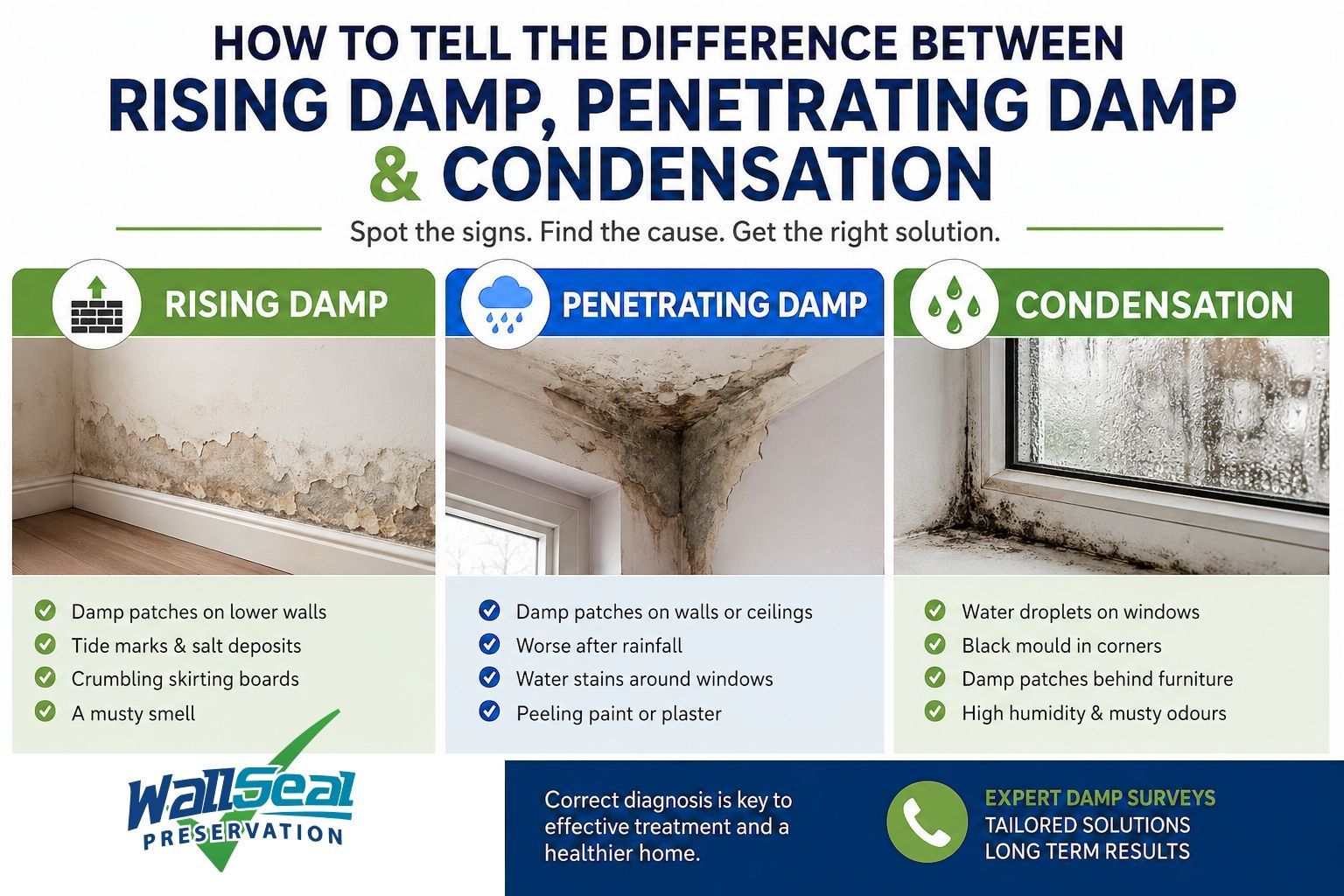 Rising Damp Professionals