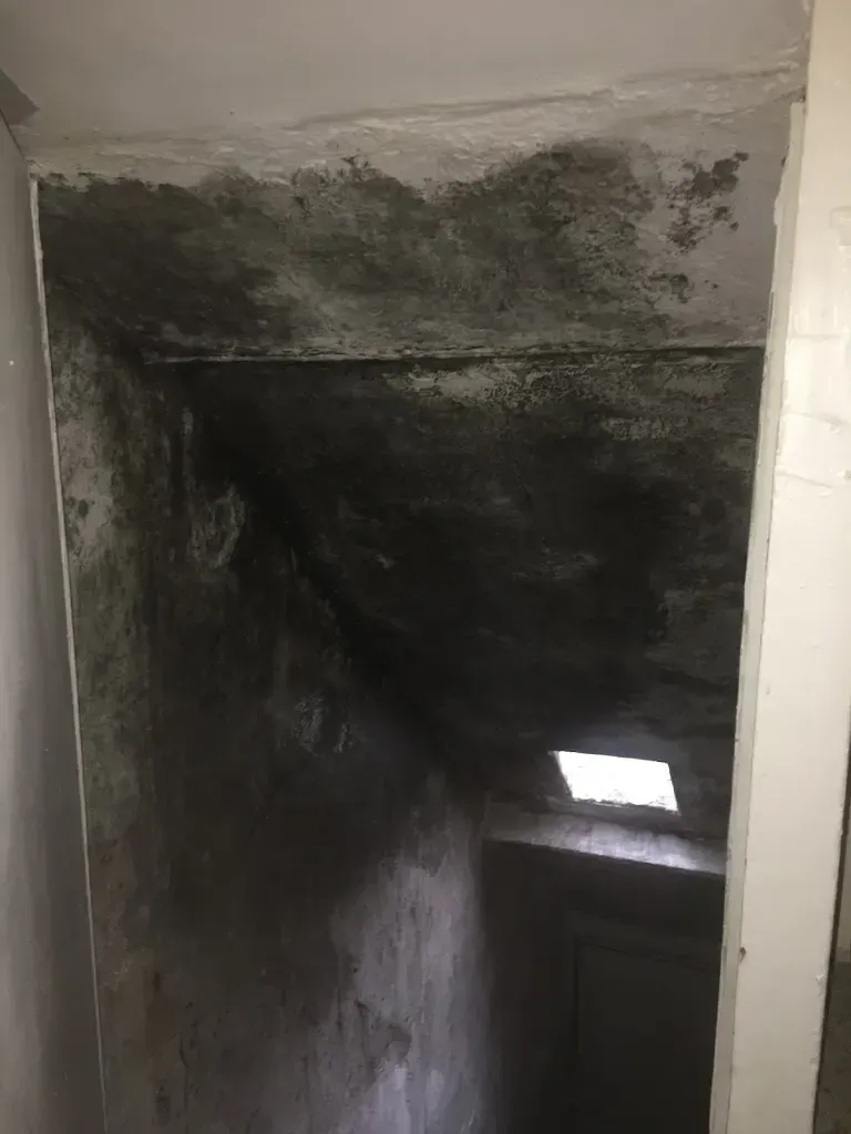 A dark room with a window and a staircase leading up to it.