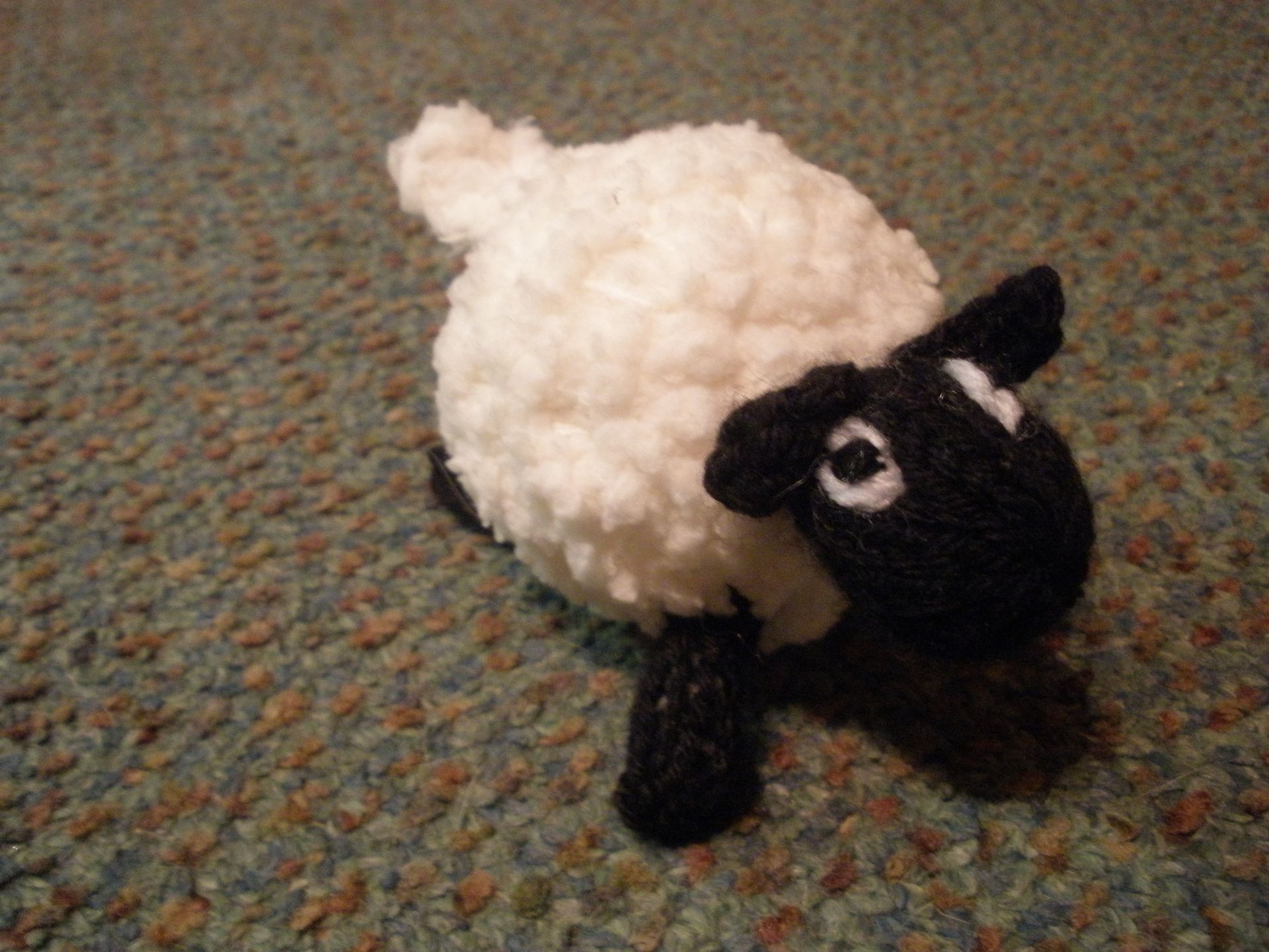 Woolly sheep