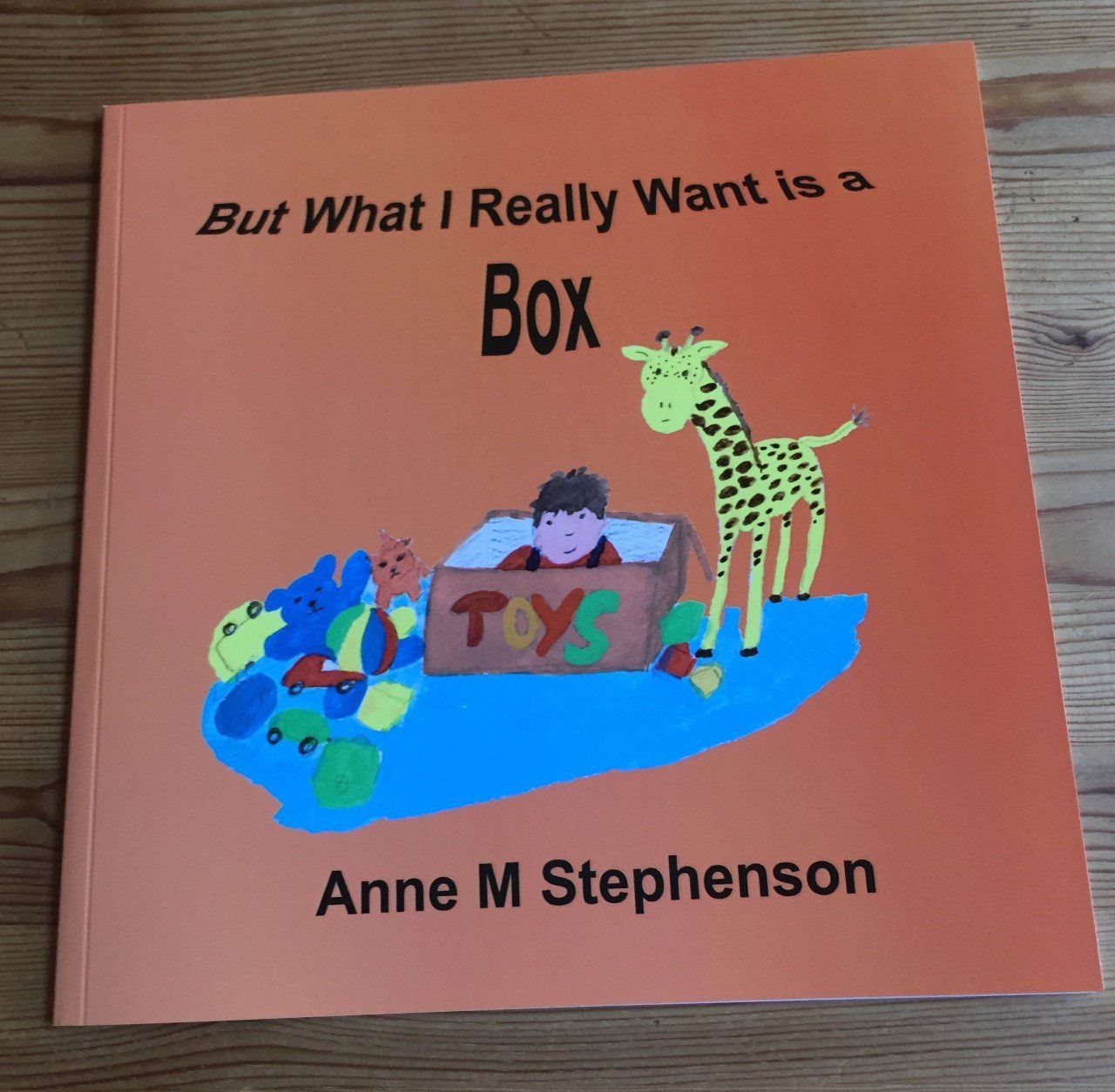 But What I Really Want is a Box book cover image