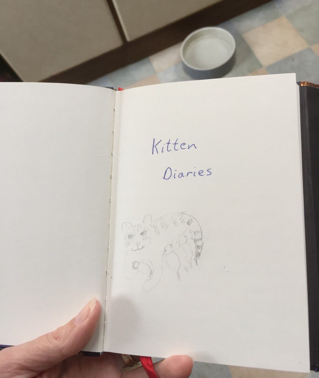 Photo of kitten diaries that became a book.
