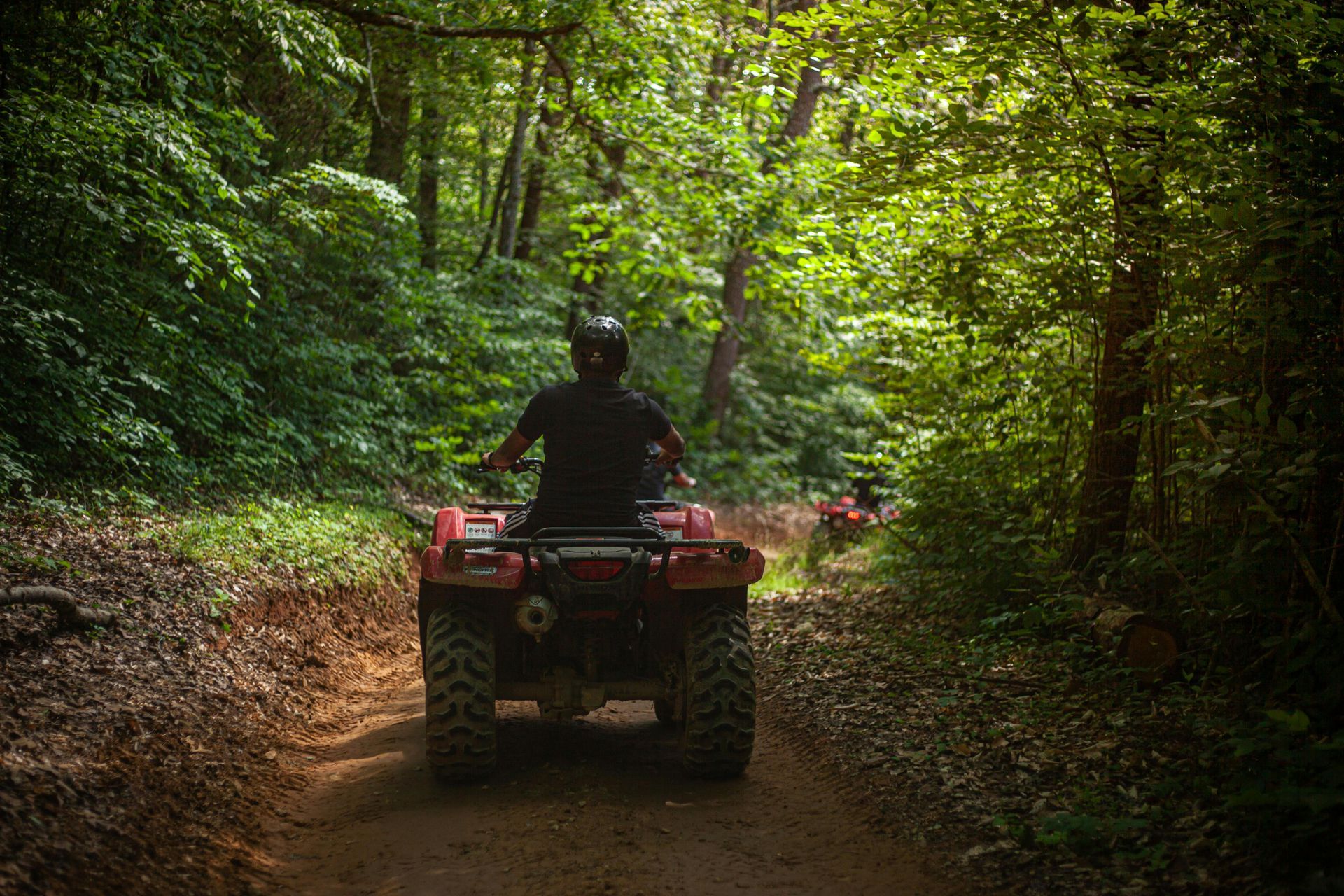 A man is riding an ATV down a dirt road in the woods.