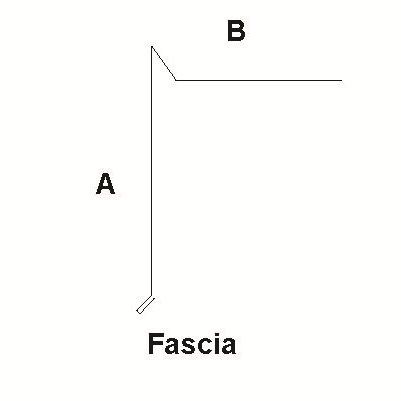 Fascia