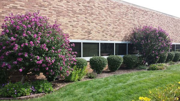 Project Spotlight by NSS Exteriors in Chicago, IL