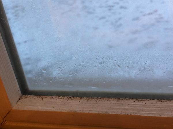 Skylight broken seal repair