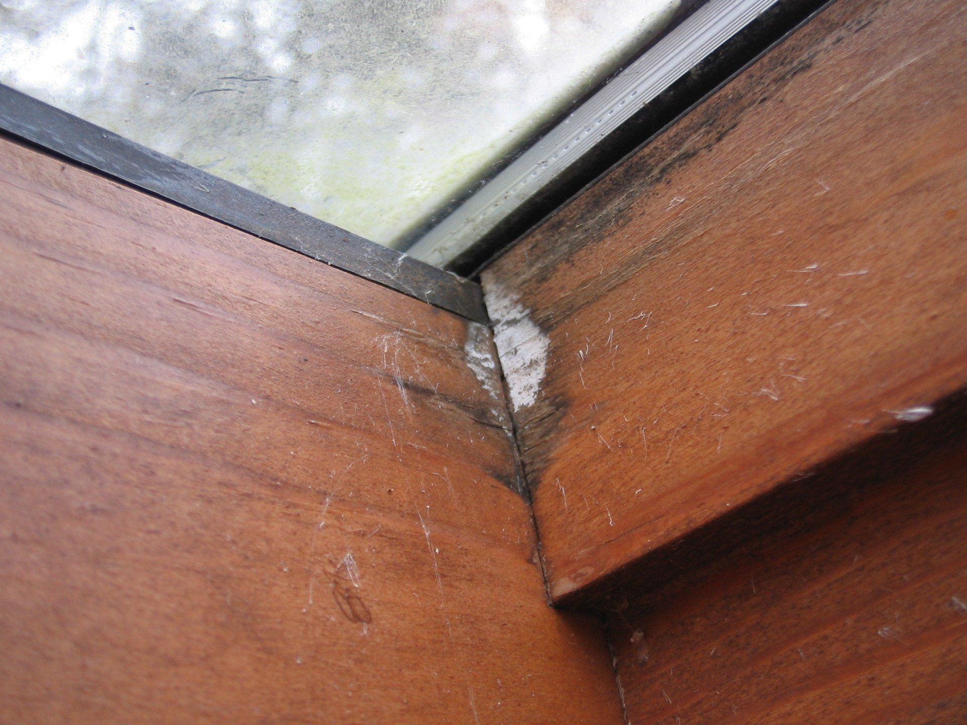 Skylight water leak repairs