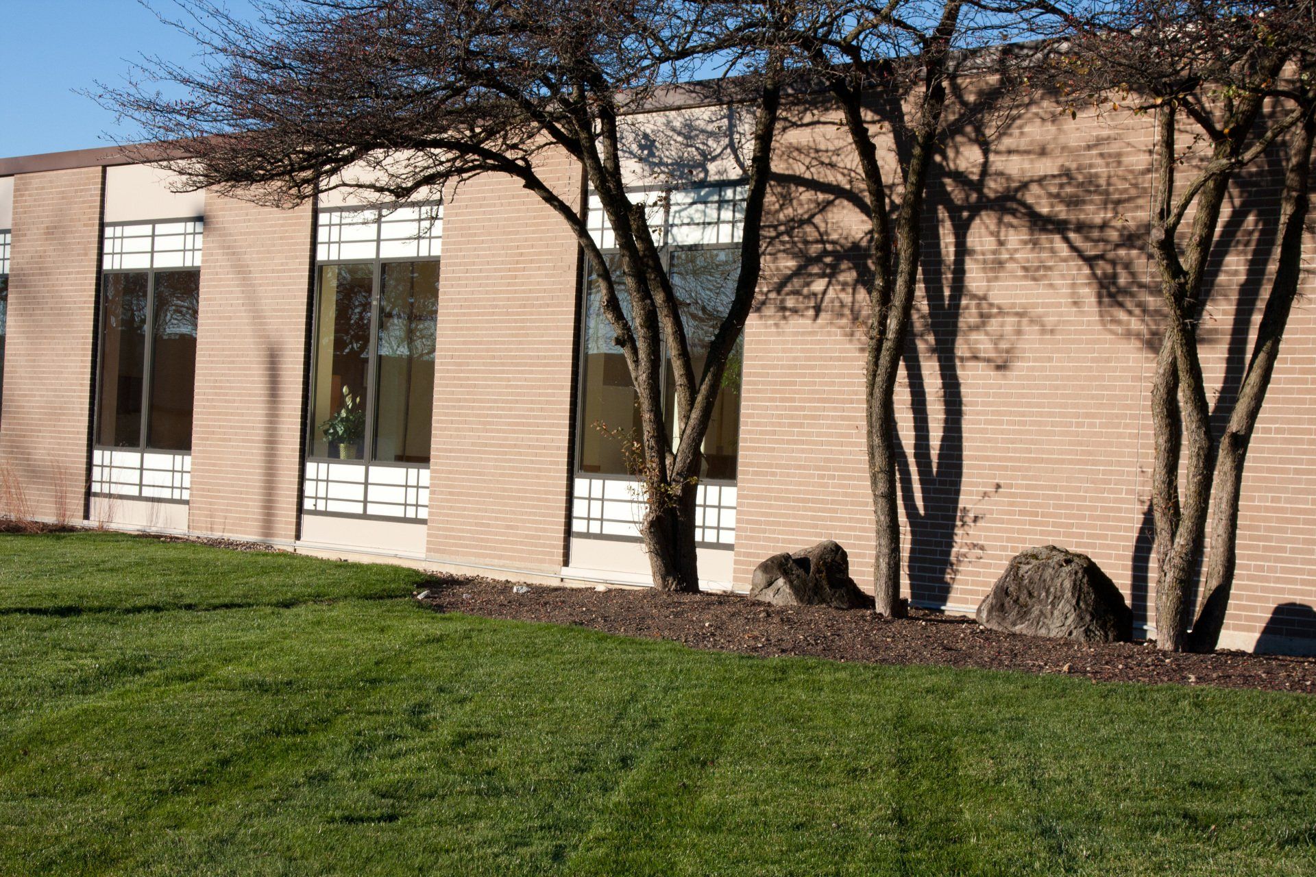 Commercial Building Windows