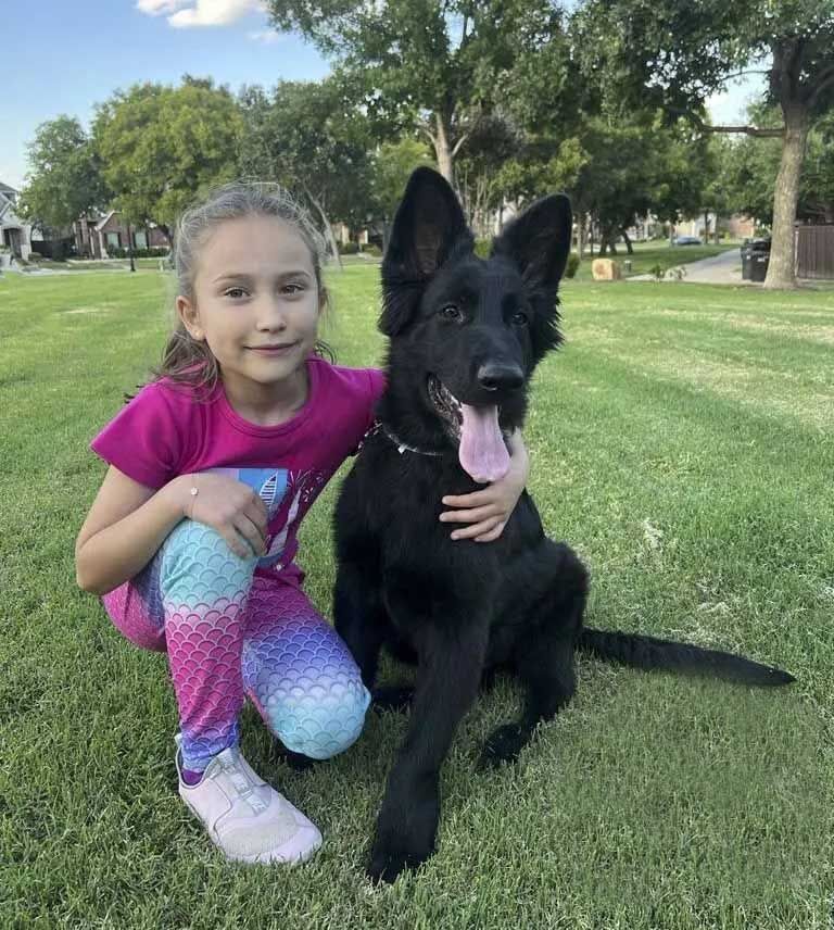 registro de mascota en mexico