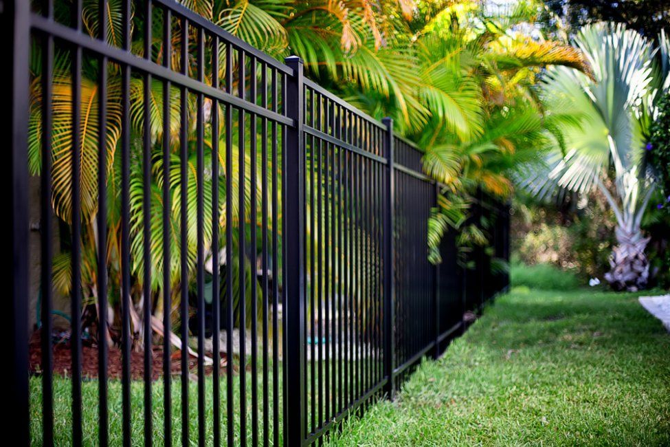 A black metal fence surrounds a lush green yard — Glass Pool Fencing Australia in Smiths Lake, NSW