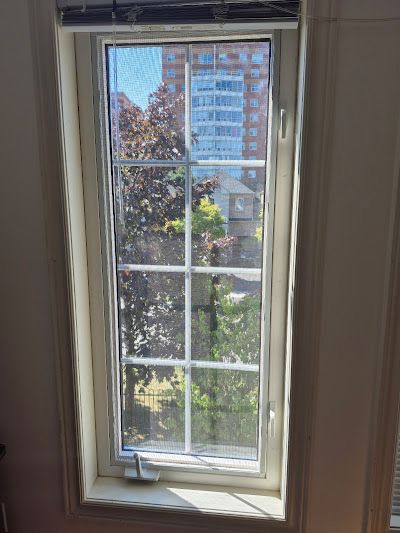 A tall, rectangular window with a white frame and a grid pattern, looking out onto trees and a nearby building.