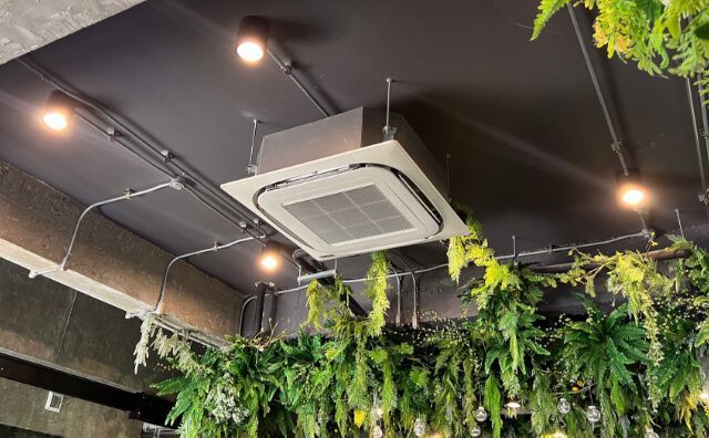 Une pièce avec un ventilateur de plafond et des plantes suspendues.