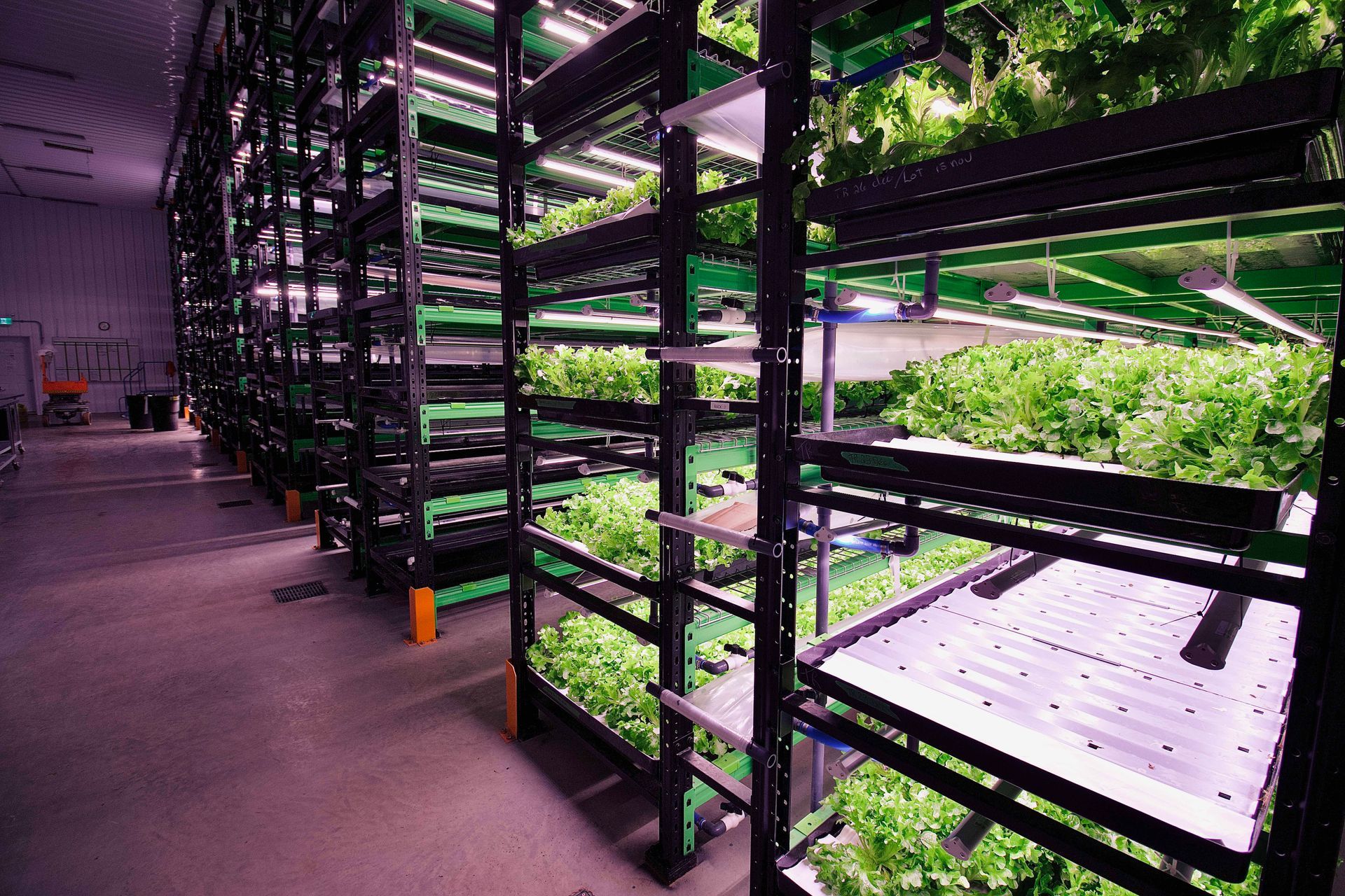 Ferme verticale avec des rangées d'étagères où poussent des légumes-feuilles sous des lampes LED dans une installation intérieure.