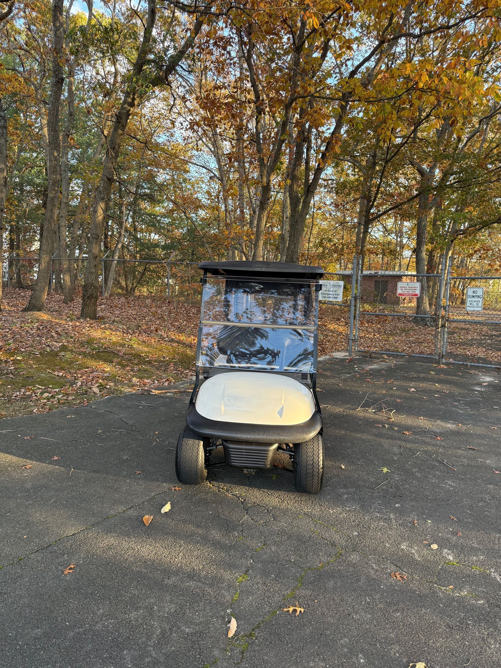 2018 ClubCar Precedent