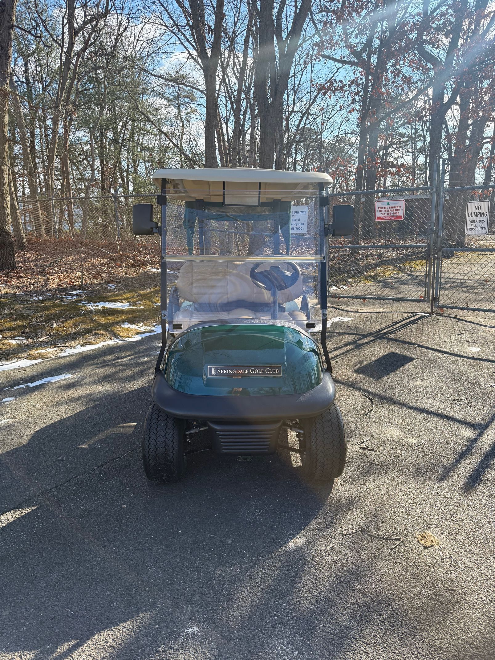 2017 Clubcar Precedent