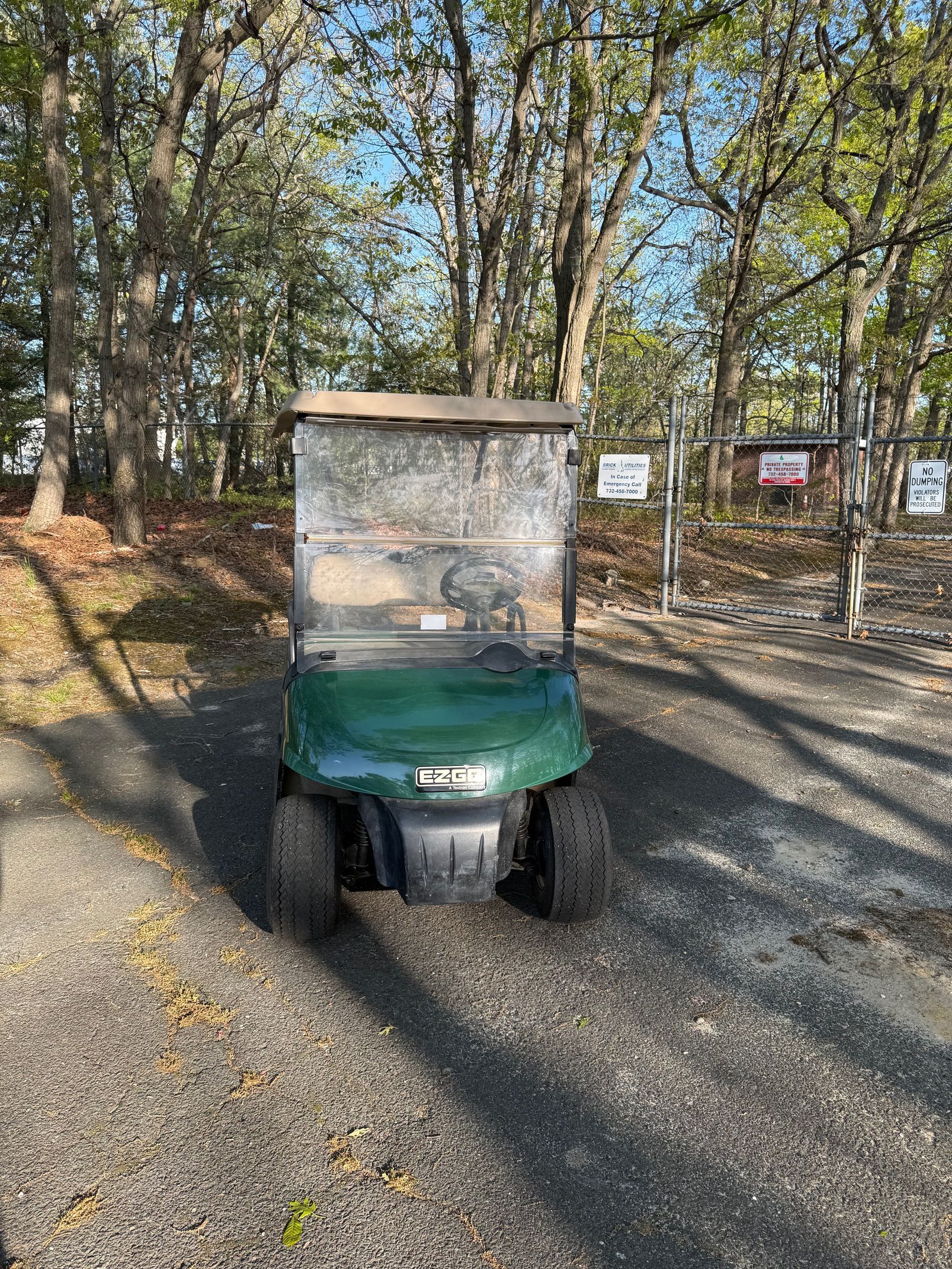 2008 EZGO RXV