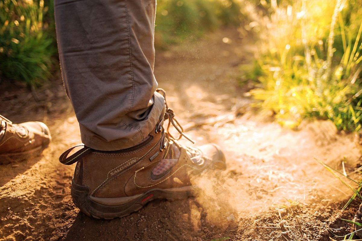 Exploring Trails That Define Life in The Woodlands