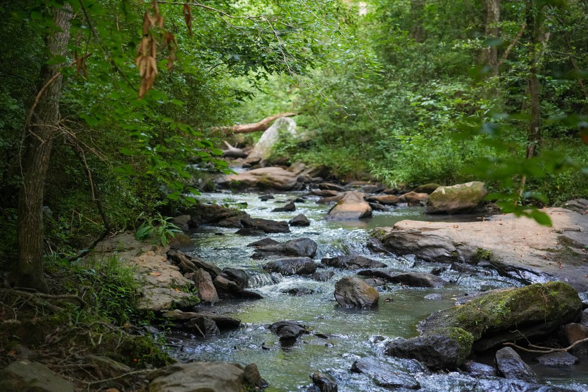 How Spring Creek Greenway Connects Nature and Community