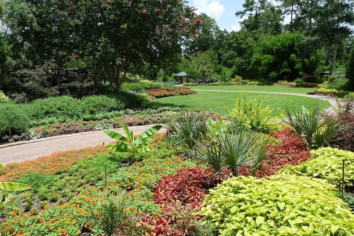 garden bed at Mercer Botanic Gardens