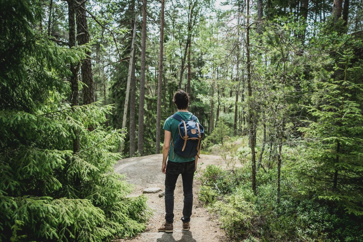 Person wearing a blue backpack walking to a narrow dirt path through a lush green forest with sunlight filtering through the trees