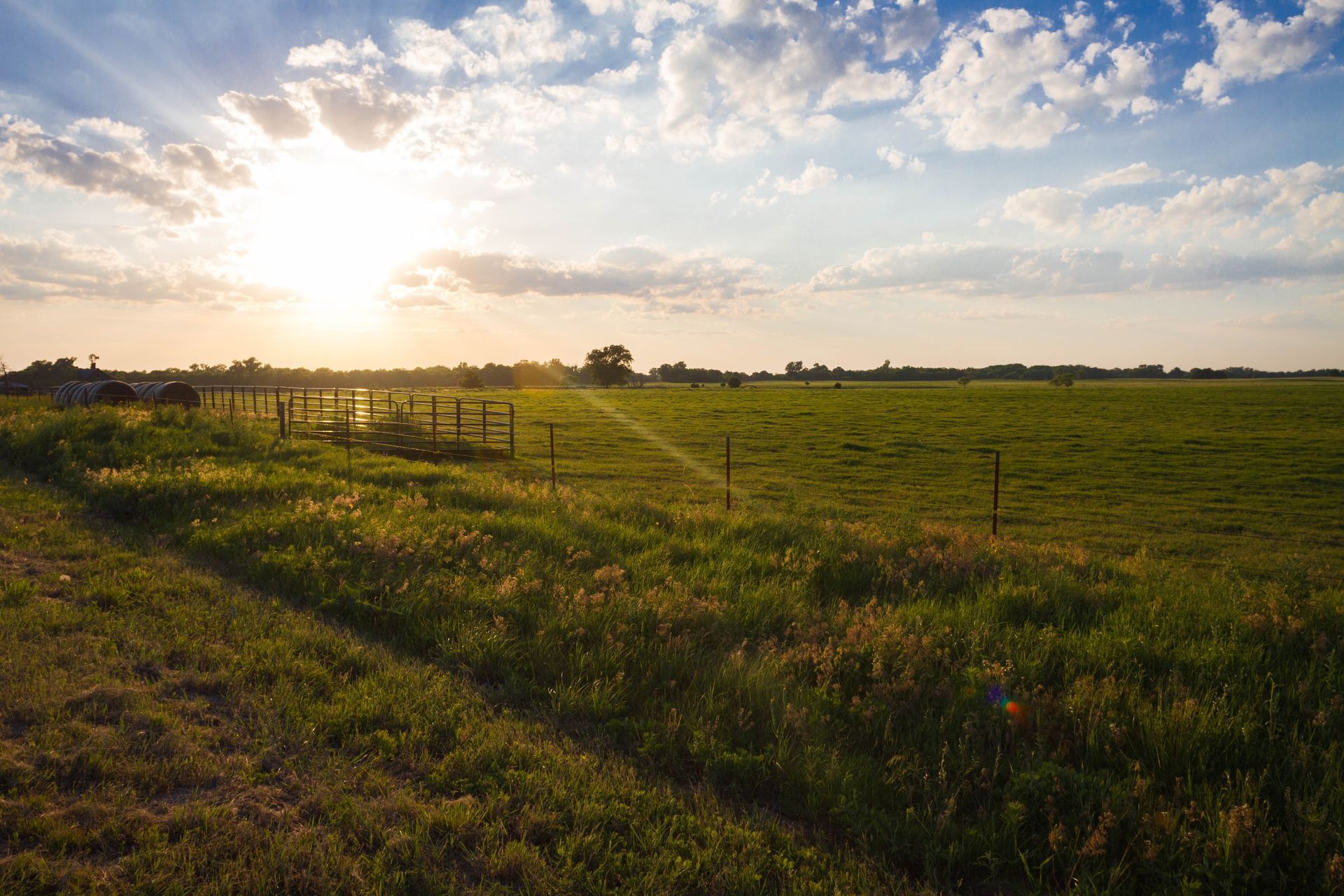 A man , woman and child are hugging each other and smiling.