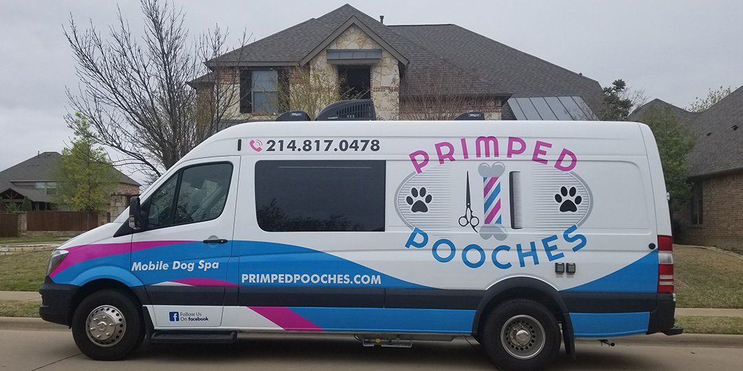 Dog Groomers Wanted - Primped Pooches